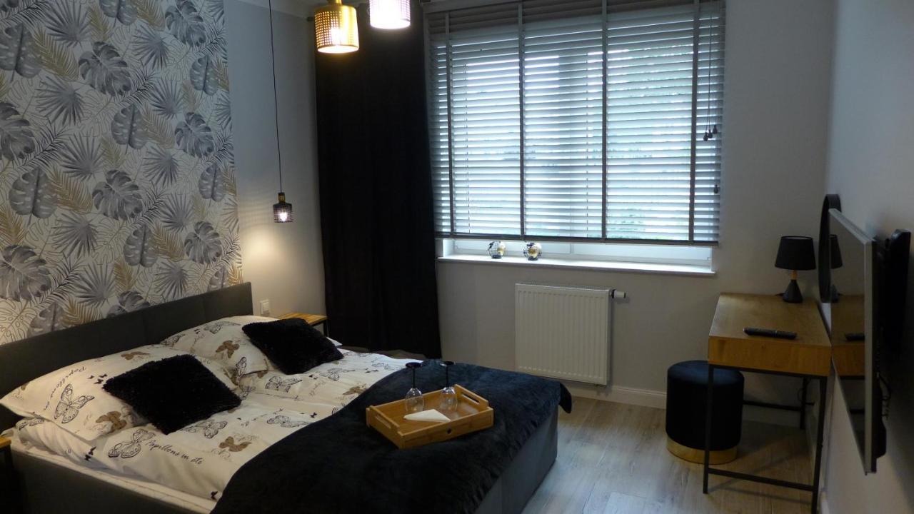 Apartment Piotr Ilawa
